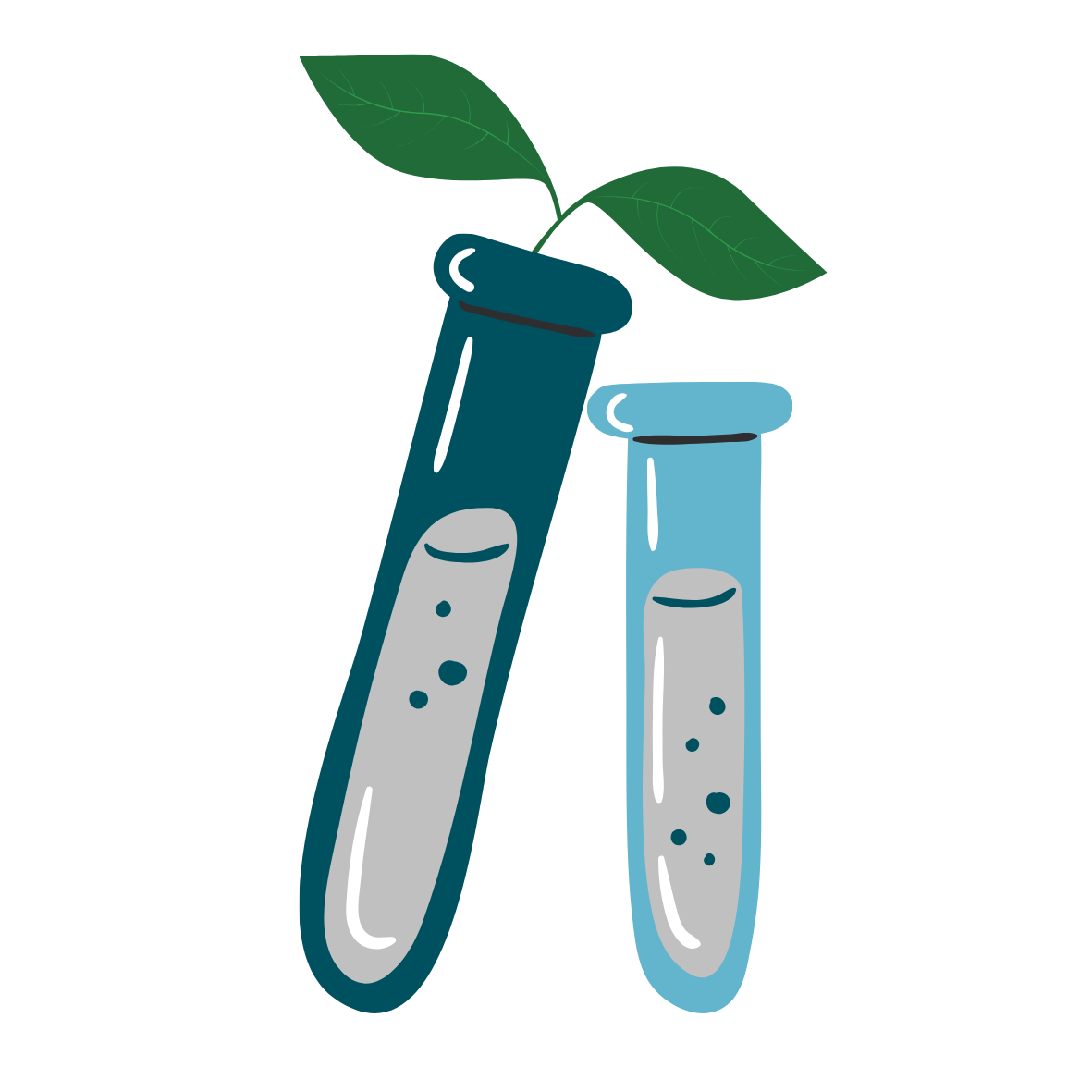 Soil Testing